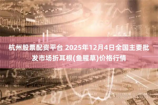 杭州股票配资平台 2025年12月4日全国主要批发市场折耳根(鱼腥草)价格行情
