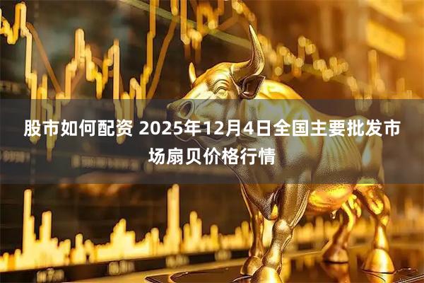 股市如何配资 2025年12月4日全国主要批发市场扇贝价格行情