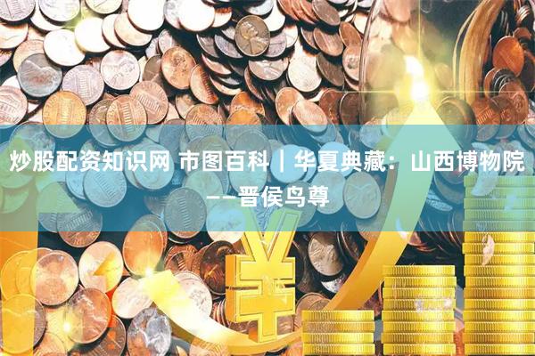 炒股配资知识网 市图百科｜华夏典藏：山西博物院——晋侯鸟尊